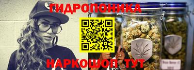 гашик Янаул